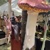 waningmoonfae